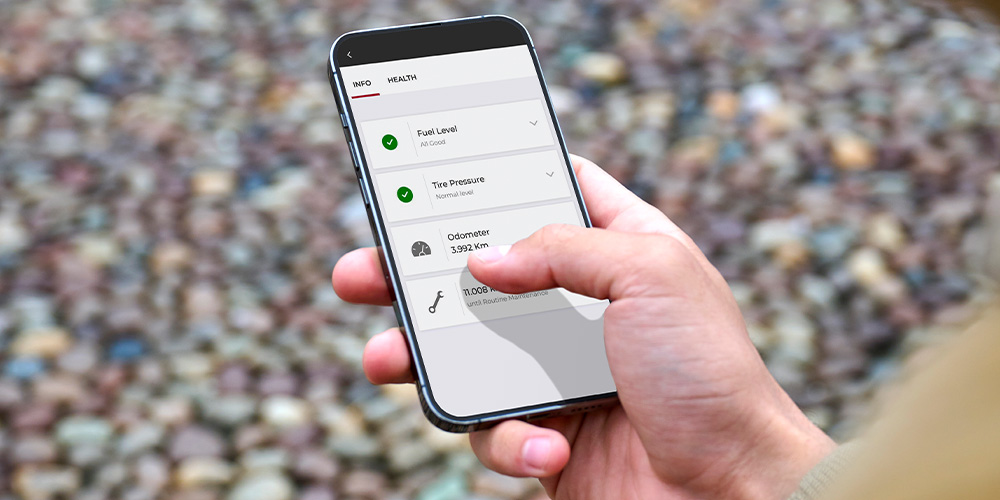 Servizi Alfa Connect