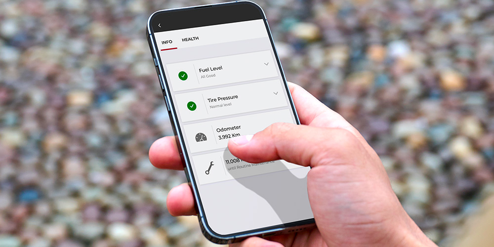 Servizi Alfa Connect